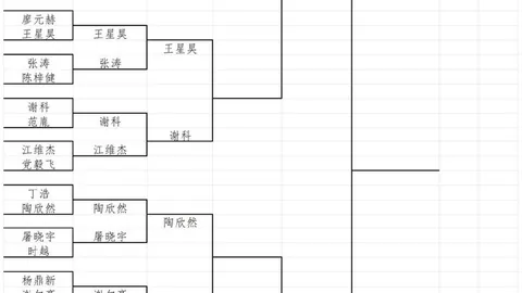 季后赛3米兰体育下载：女武神对决飞马，深度解析策略指南